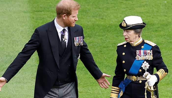 Princess Anne gave a very sage advice to Prince Harrys wife Meghan Markle