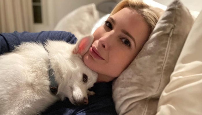 Ivanka Trump holding a puppy. — Instagram/@ivankatrump