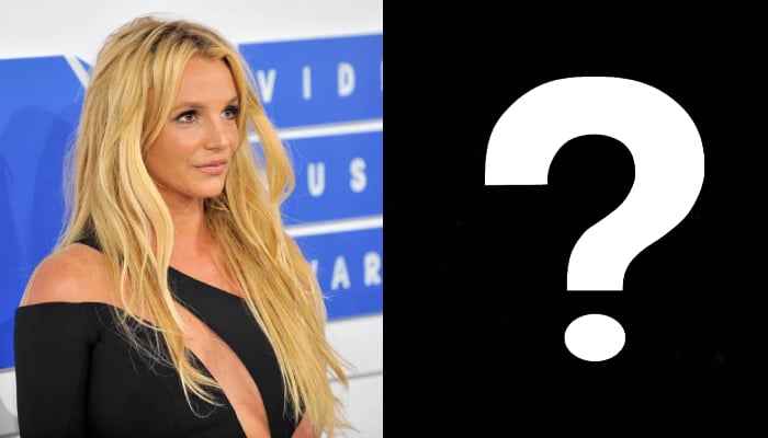 Britney Spears a révélé une photo mystérieuse d'un inconnu torse nu
