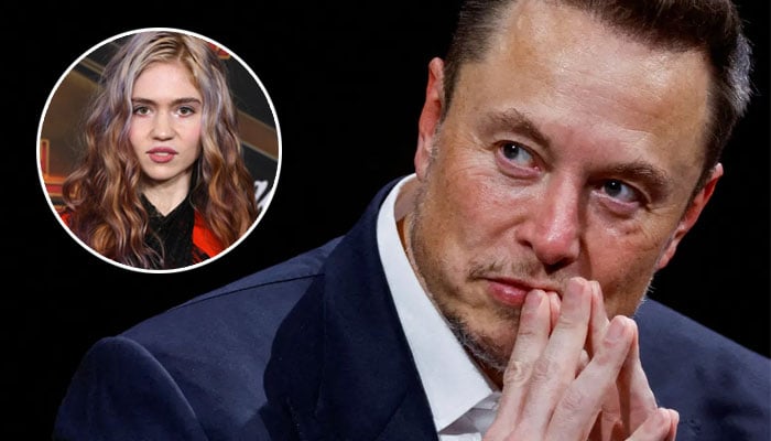 Elon Musk and Grimes sued each other for custody in September