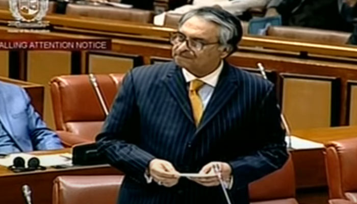 Caretaker Foreign Minister Jalil Abbas Jilani addressing the Senate on a calling attention notice. — Screengrab/PTV News via Geo News