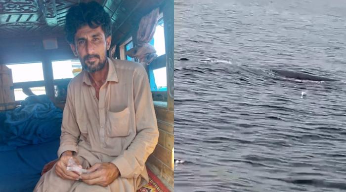 VIDEO: Vulnerable specie sperm whale liberated by Pakistani fisherman