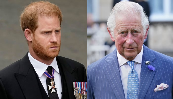 Inside King Charles, Prince Harry’s ‘awkward’ phone conversation