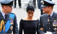 Prince William's Character Savagely Teared Down By Harry, Meghan's Pal