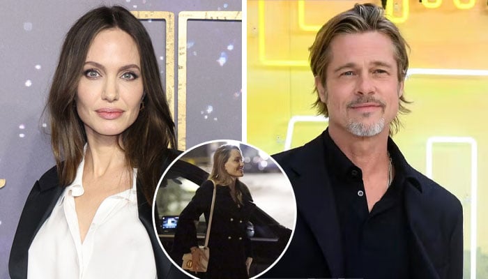 Angelina Jolie ne semble pas dérangée par les affirmations « cinglantes » de Brad Pitt