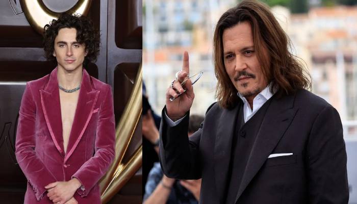 Timothee Chalamet reveals whether he asks Johnny Depp for advice about Wonka character