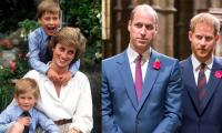 Princess Diana 'continues To Loom' Over Prince Harry, Prince William Rift