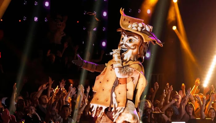 The Masked Singer celebrity identity under Smore costume unmasked
