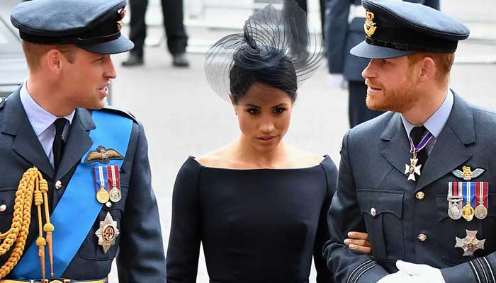Royal fans think Prince Harry has bee betrayed by his wife Meghan Markle