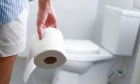 Huge Environmental Impact Of Toilet Paper Consumption