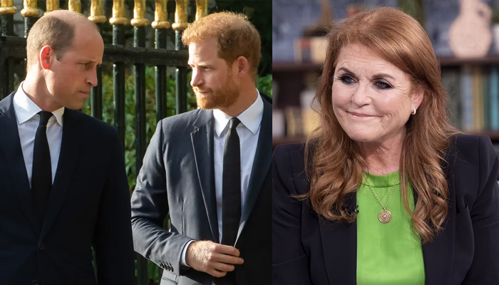 Sarah Ferguson urges Prince William to forgive Prince Harry before Christmas