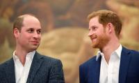 Prince William Gives Shout Out To Estranged Prince Harry In Latest Foreword