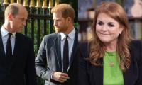 Sarah Ferguson Urges Prince William To 'forgive' Prince Harry Before Christmas