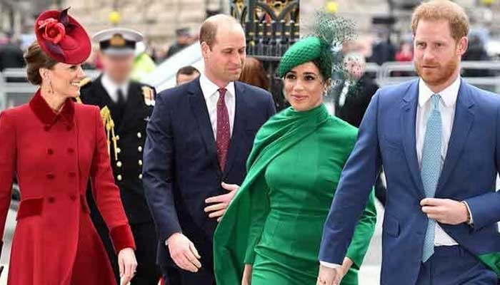 Prince Harry, Meghan Markle wont have place in Williams monarchy