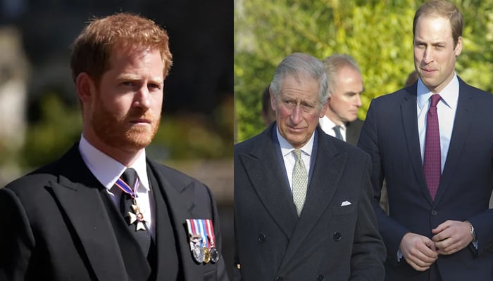 King Charles, Prince William react to Prince Harrys plea for UK return