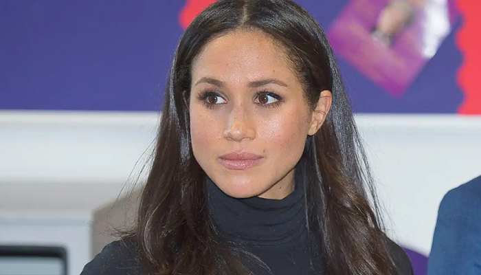 Meghan Markle’s ‘mouthpiece’ book Endgame puts Duchess’ career ‘at risk’