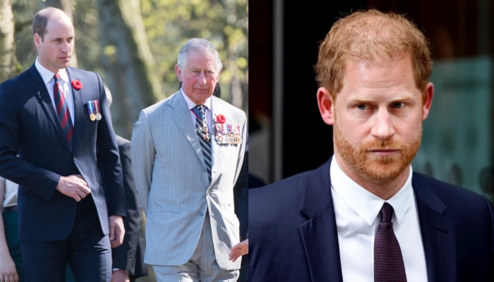 Prince Harry urged to issue public apology to family amid royal race row