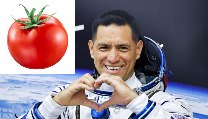 A cut out of Nasa astronaut Frank Rubio with a tomato and a top-down view of the earth as a backdrop. — Nasa