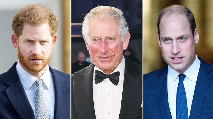 King Charles ‘thrilled’ to welcome Prince Harry amid ‘secret war’ with ...