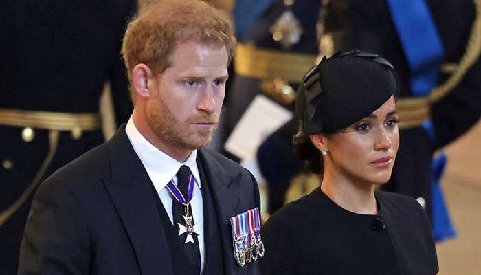Prince Harry, Meghan Markle’s titles pose new threat to brand deals