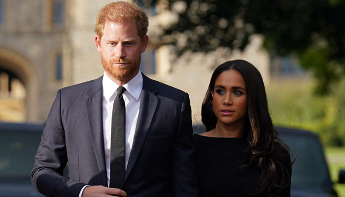 Prince Harry, Meghan Markle blame royal family for ruining their careers?