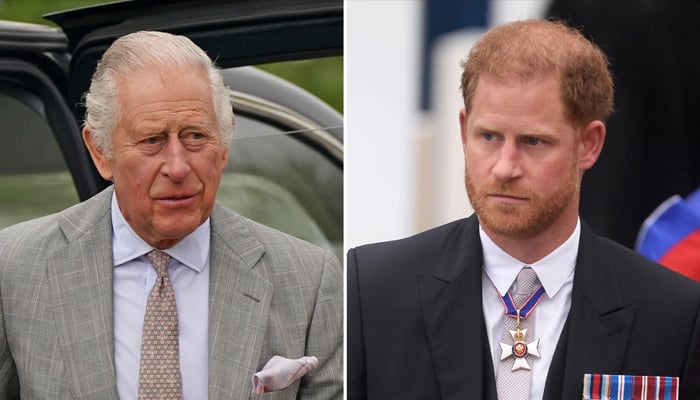 Prince Harry shades King Charles after winning phone hacking lawsuit