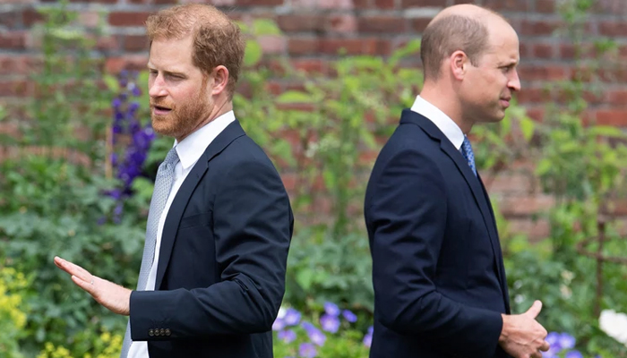 Prince Harry blames Prince William for royal wedding snub
