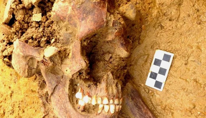 The 2000-year old corpse of a man discovered by the DNA detectives. — Francis Crick Institute