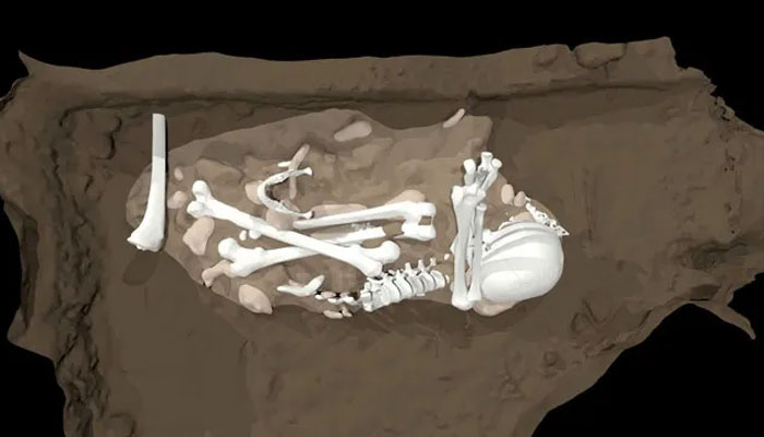 A proposed grave including the remains of an adult Homo naledi is shown in this reconstruction. — Lee Berger