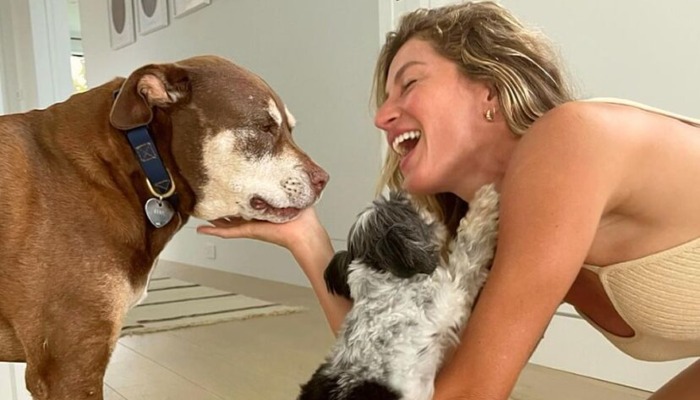Tom Brady and Gisele Bündchen loved the late Lulu throughout their marraige