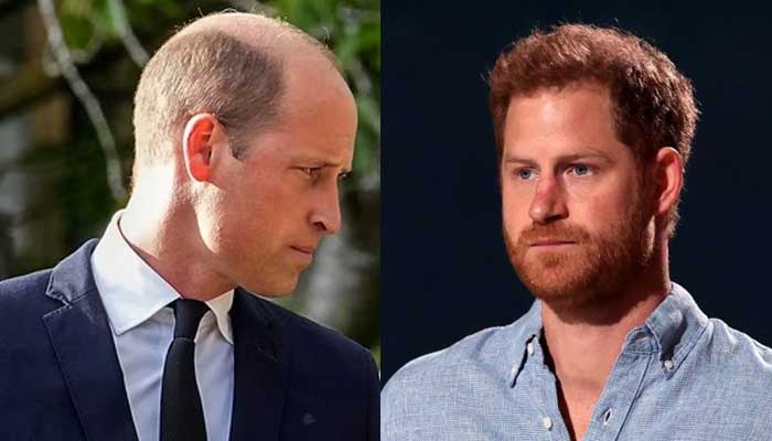 Prince William and Prince Harrys reunion is unlikely in 2024