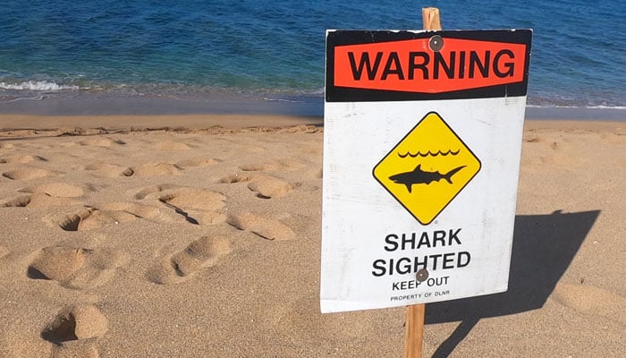 A shark warning sign set up along a beach in Maui. — Hawaii Department of Land and Natural Resources (DNLR)/File