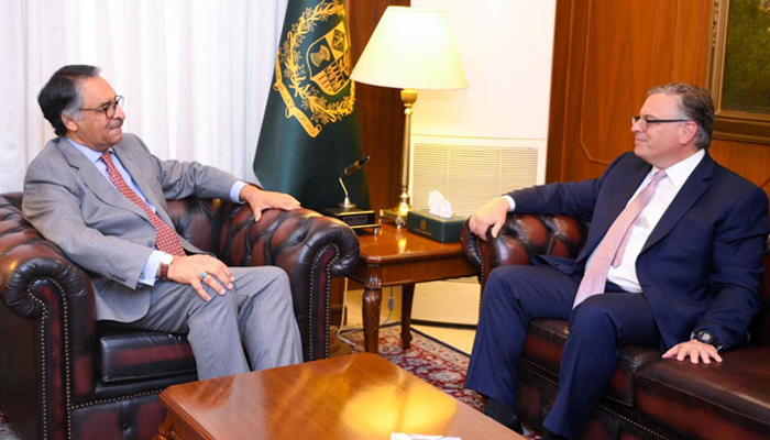 Caretaker Foreign Minister Jalil Abbas Jilani (left) and US Ambassador to Pakistan Donald Blome holding a meeting on August 23, 2023. — Radio Pakistan