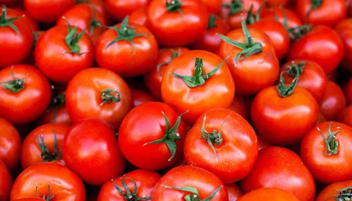 An image of tomatoes. — X/@healthline