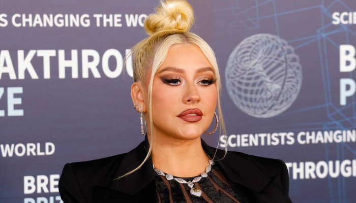 Christina Aguilera caught flu, postpones LA shows