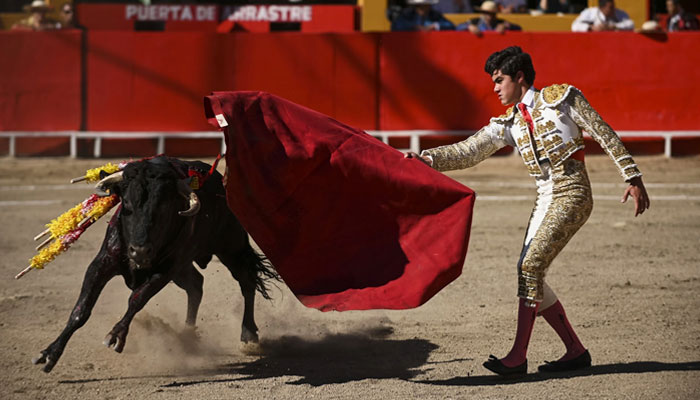 Bullfighting event in Mexico — NBC news