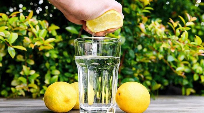 Easy methods to drink lemon water the fitting method