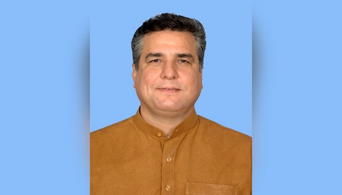 Pakistan Muslim League-Nawaz leader Daniyal Aziz. — National Assembly/File
