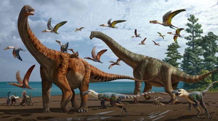 Meteor öldüren dinozorlar 65 milyon yıl ilkin Büyülü Mantarların doğuşuna iyi mi yol açtı?