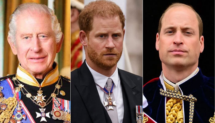 Prince Harry tipped to step in for King Charles, Prince William: Report