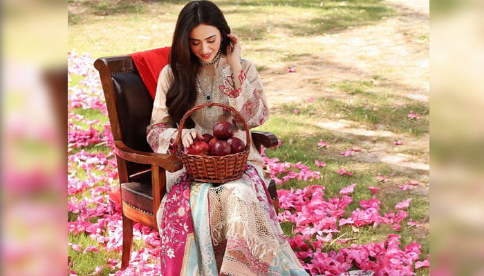 Actress Sana Javed. — Instagram/sanajaved.official/File