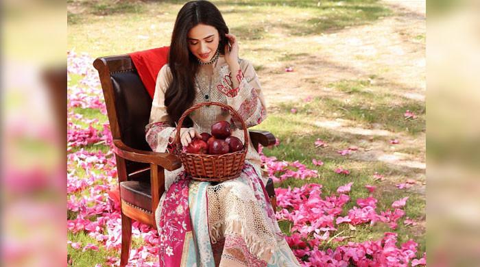 Here is the whole lot it’s essential learn about Sana Javed, Shoaib Malik’s new bride