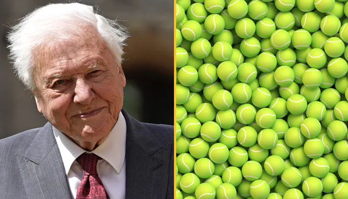 A top-down image of tennis balls and Sir David Attenborough. — X/@joe