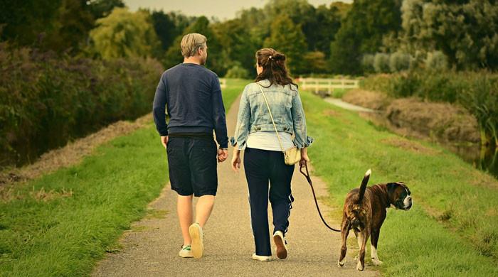 Is walking 10,000 steps daily must for healthy lifestyle?