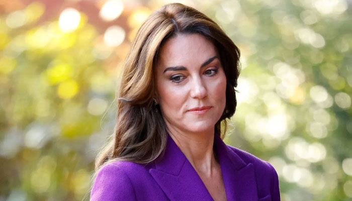 Kate Middleton's Medical Records Breach Perpetrator Faces Professional Penalty