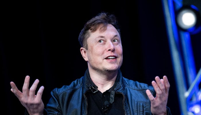 Elon Musk gestures during a gathering. — AFP/File