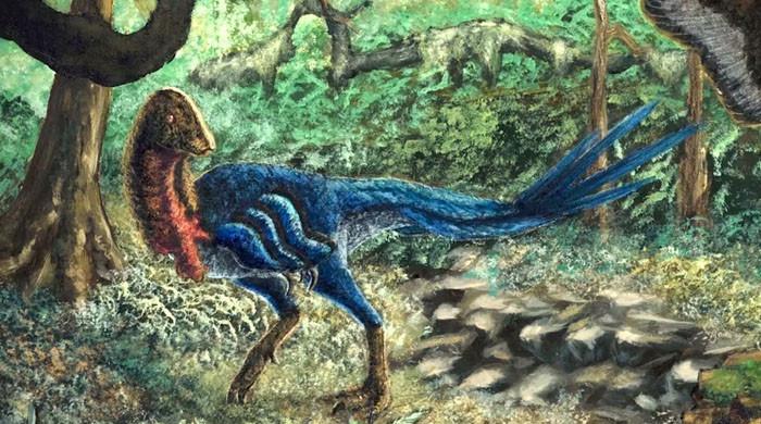 ABD’li araştırmacı internetten fosil satın aldıktan sonrasında ‘cehennemden gelen tavuk’ dinozorunu keşfetti