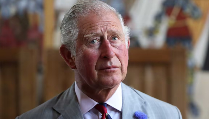 Le roi Charles suspend ses engagements royaux pendant un mois en pleine reprise