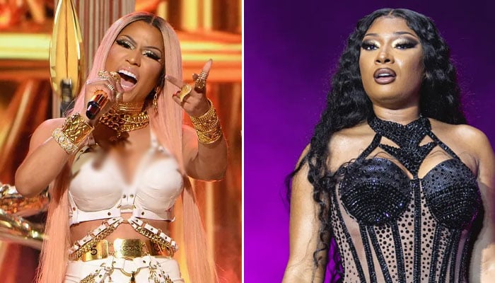 Megan Thee Stallion seemingly dissed Nicki Minaj and her husband in her track ‘Hiss’