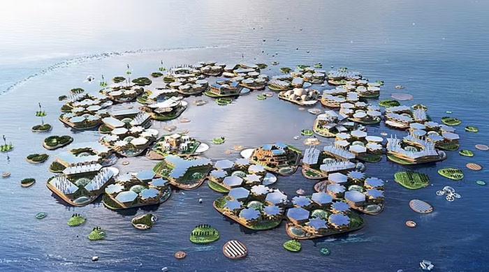 Why Silicon Valley billionaires are investing in floating cities?